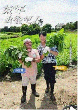 综艺娱乐 星辰影视网